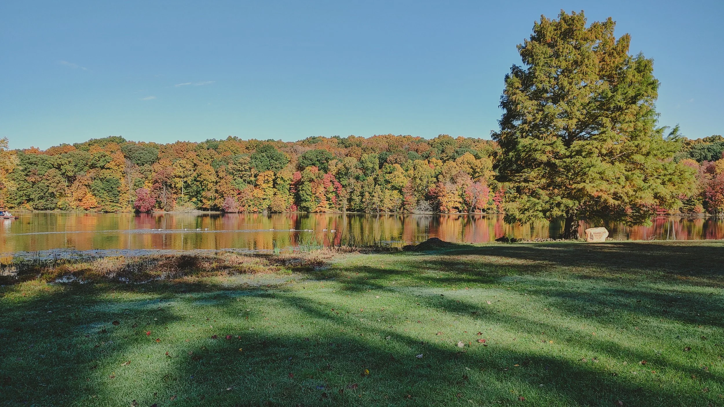 A peaceful lakeside scene with a large tree on the right, green grass in the foreground, calm lake water reflecting colorful autumn trees, and a clear blue sky.