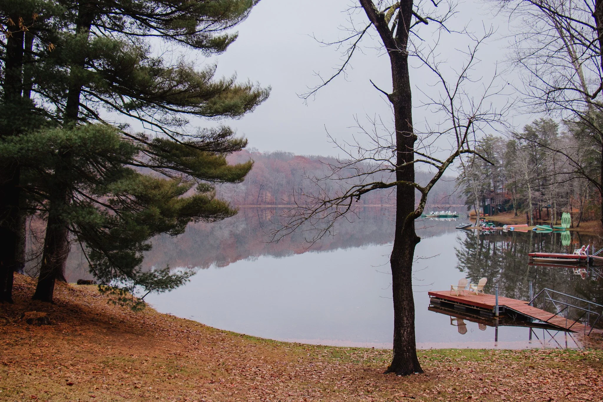 A peaceful lakeside scene with leafless trees in the foreground, calm water reflecting the overcast sky and distant trees, and several boats and docks along the shoreline.