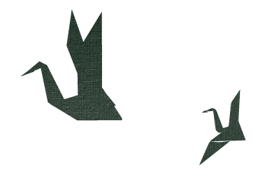 Silhouette of a flying bird against a black background.