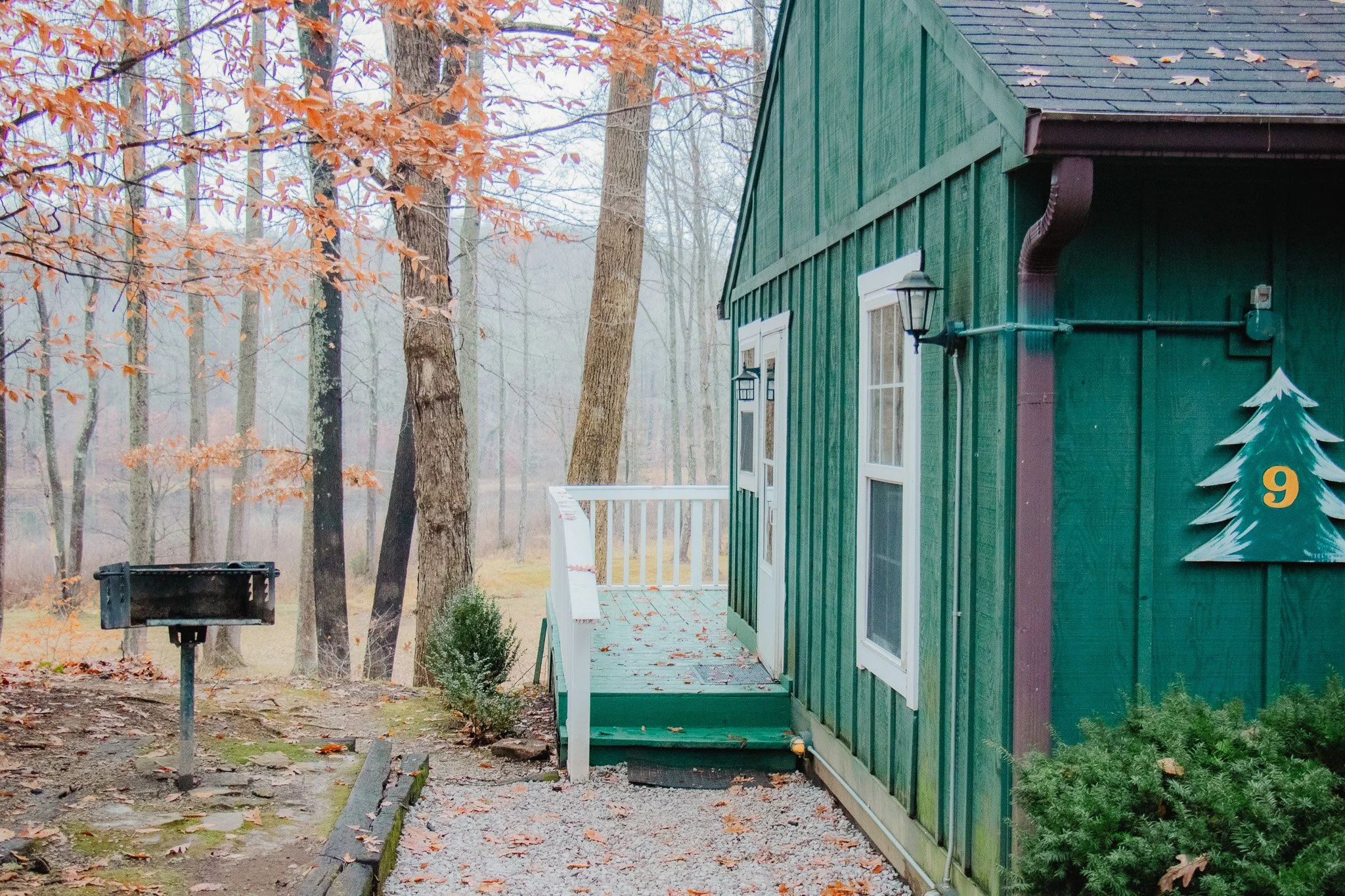 A green wooden house with white window frames, a small deck with a railing, and a black outdoor lantern. Surrounding the house are leafless trees with some orange leaves and a gravel pathway. There is a 9-shaped decoration on the house resembling a C