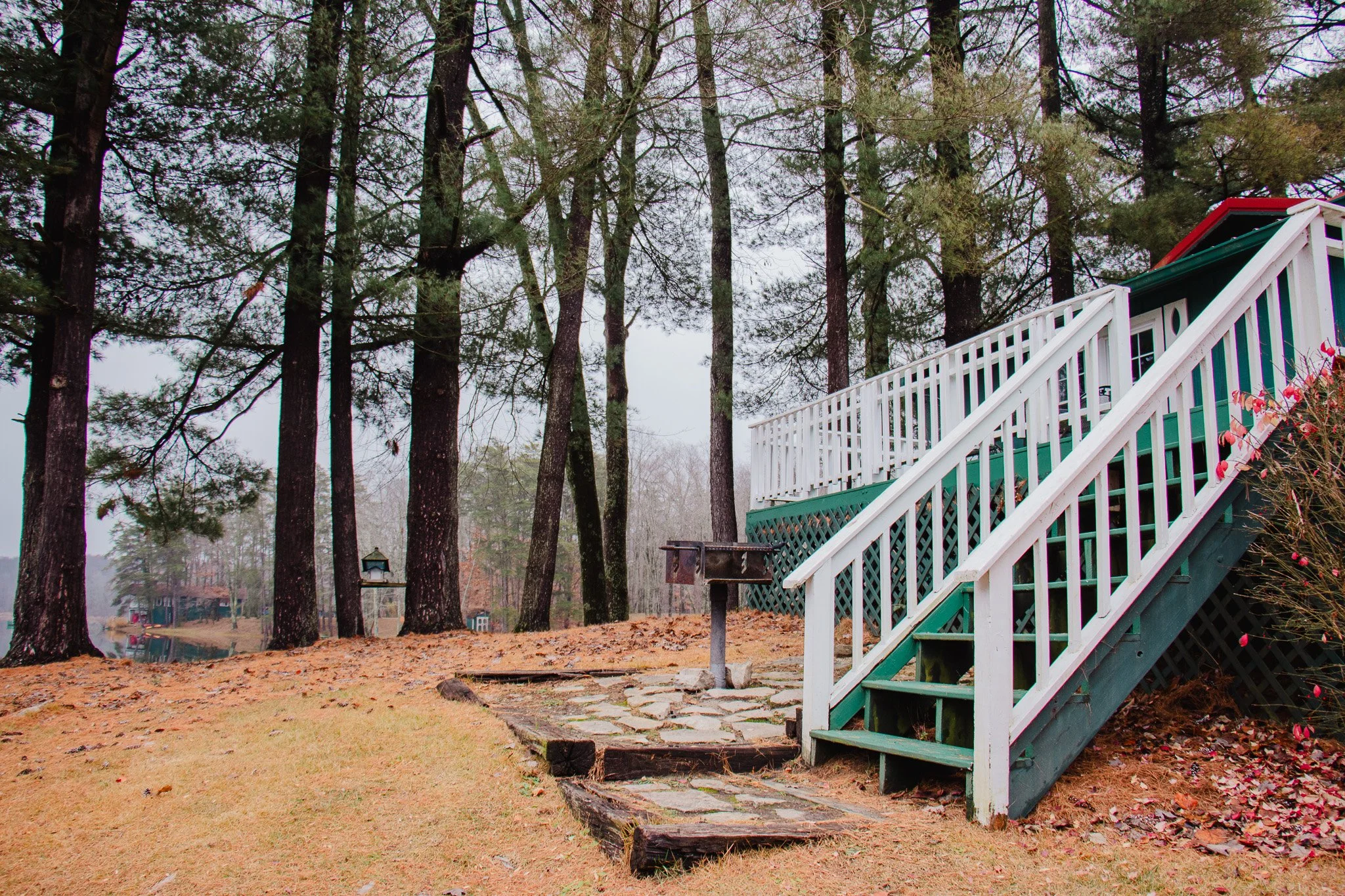 Backyard scene with wooden deck stairs, stone pathway, tall pine trees, and cloudy sky.