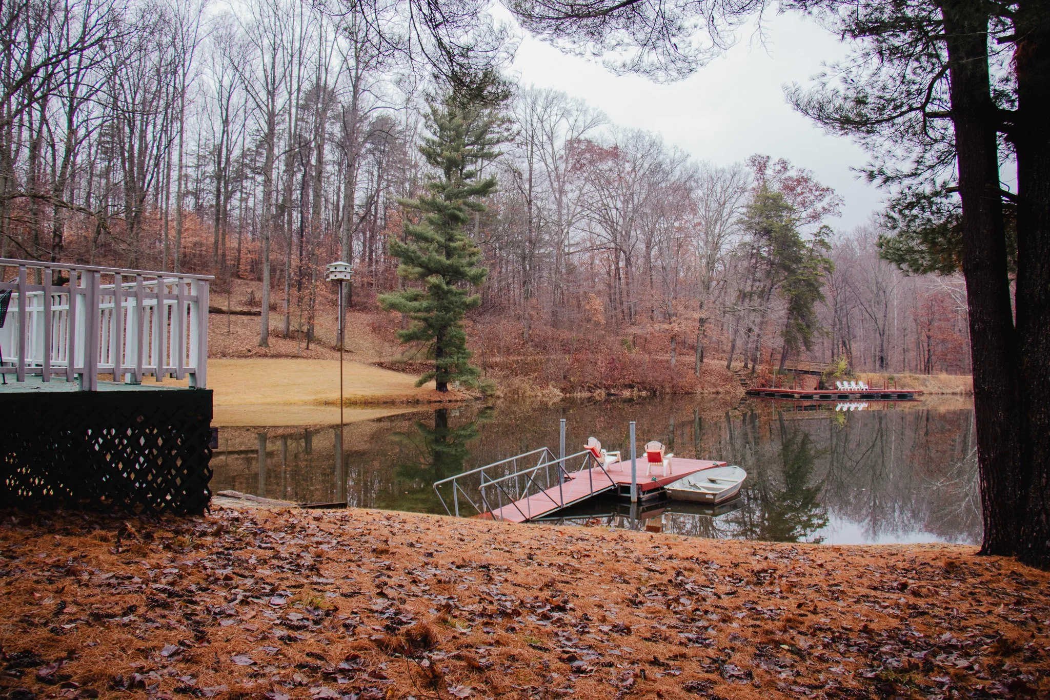 A lakeside scene with trees, a dock with chairs, and leaf-covered ground in autumn or winter.