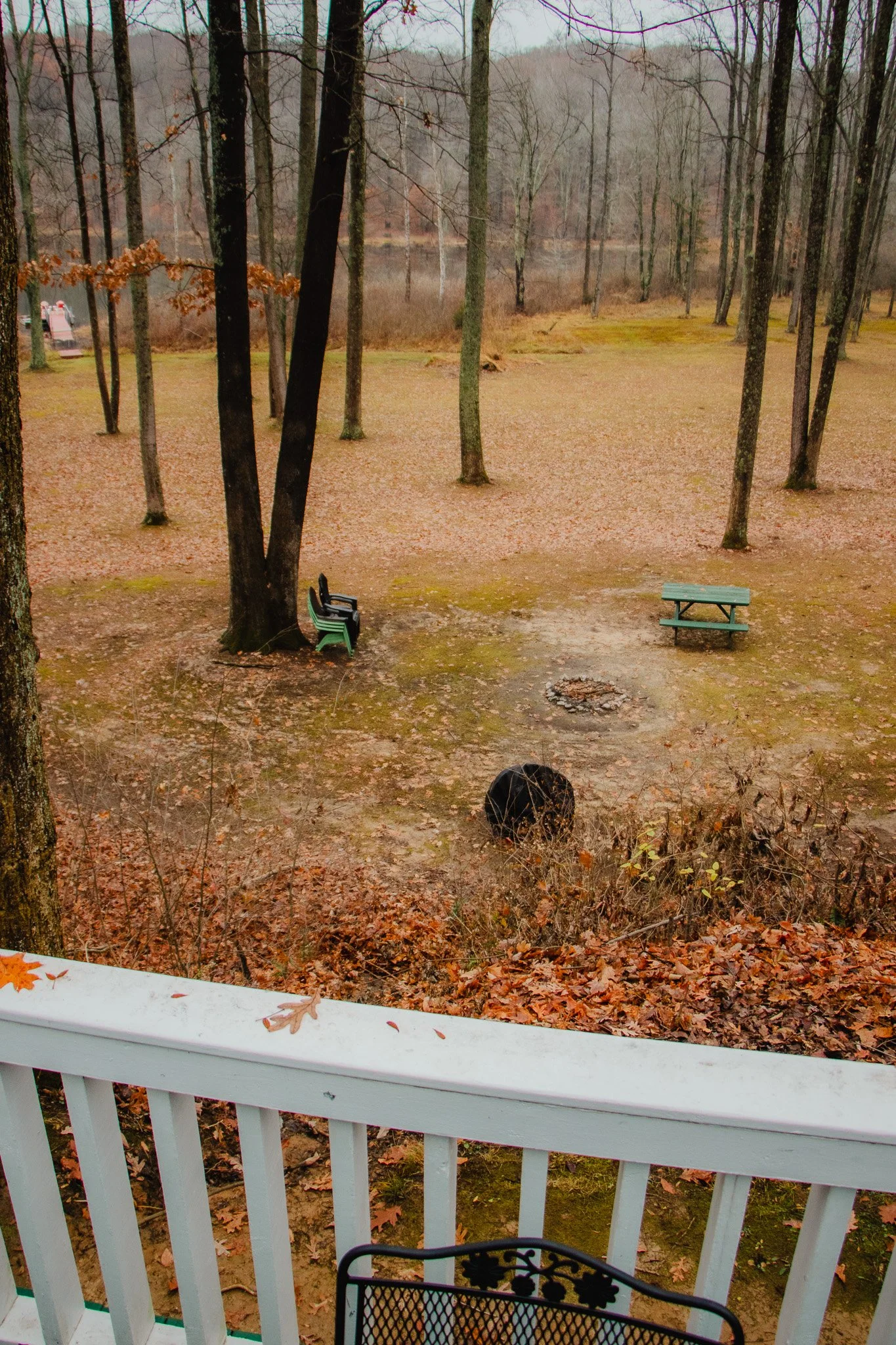 View of a backyard with trees, a fire pit with stones, a green picnic table, and a couple of benches, as seen from a porch with a white railing.