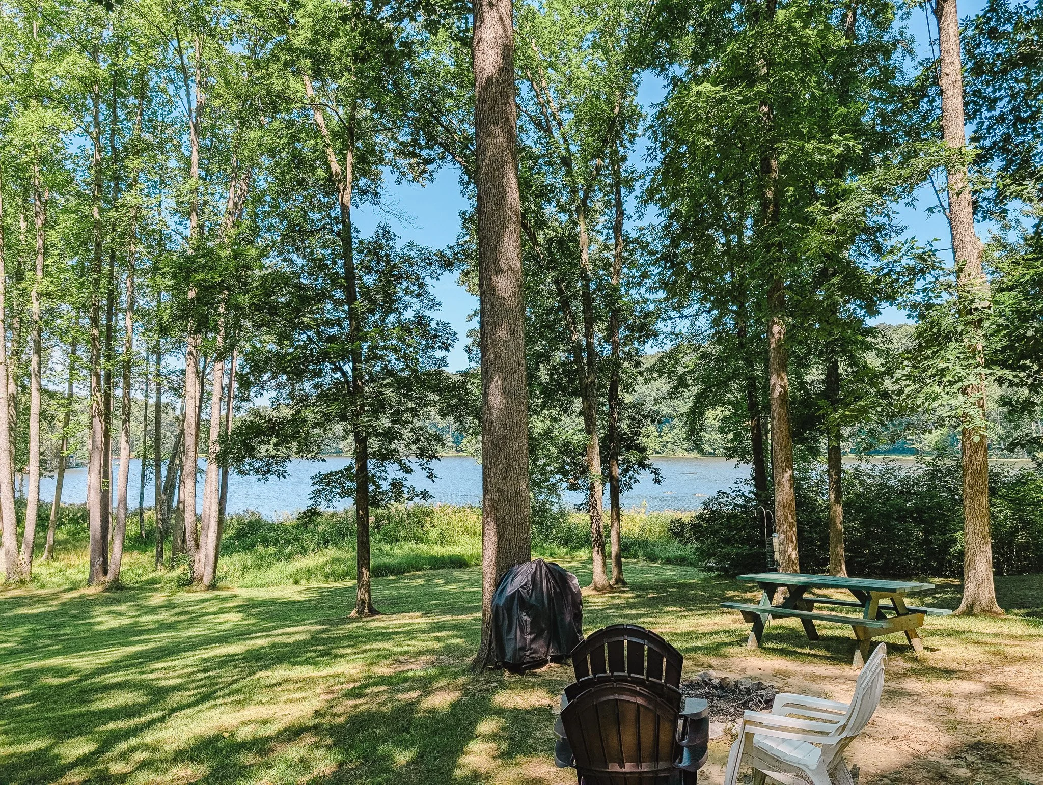 A lakeside campsite with a grassy area, several trees, and a lake in the background. There are chairs and a picnic table, with a covered grill and a fire pit in the foreground.