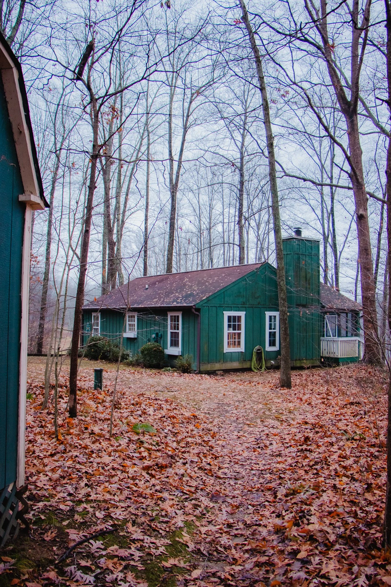 A green house in a wooded area with fallen autumn leaves on the ground and leafless trees surrounding the house.