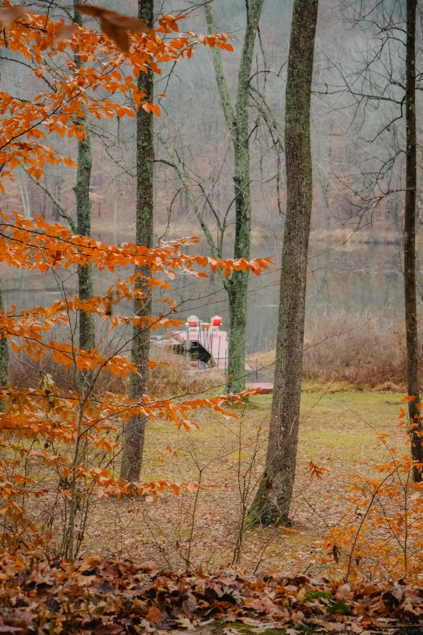 A view through trees with orange autumn leaves, a grassy area, and a boat docked by a calm lake in the background.