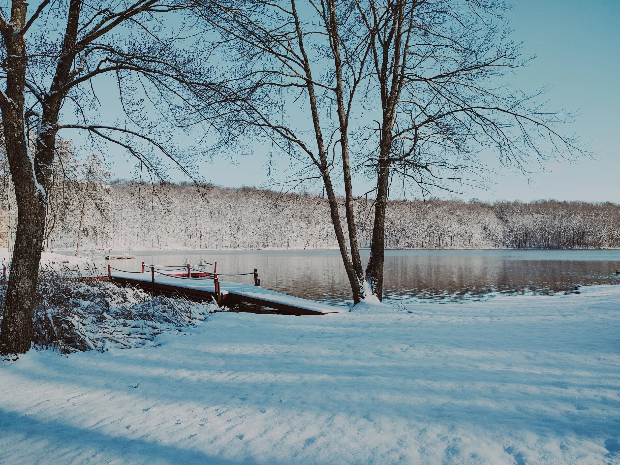 Snow-covered lakeshore with trees and a dock extending into the lake, winter scene with snow and ice, calm water, and distant snow-covered trees.