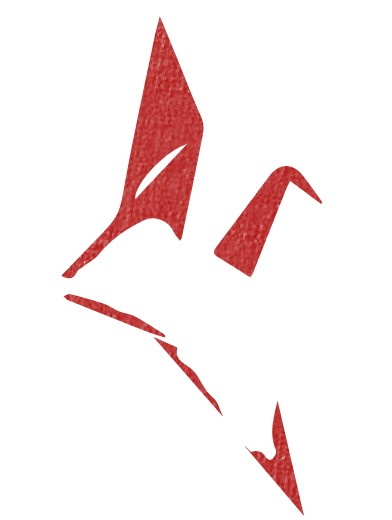 Red abstract design on a black background