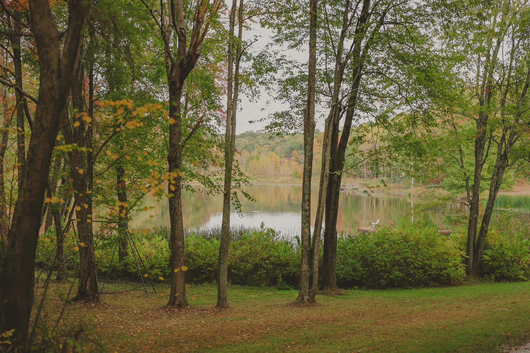 A view of a lake surrounded by trees with fall foliage, with a dock and a white boat in the distance.