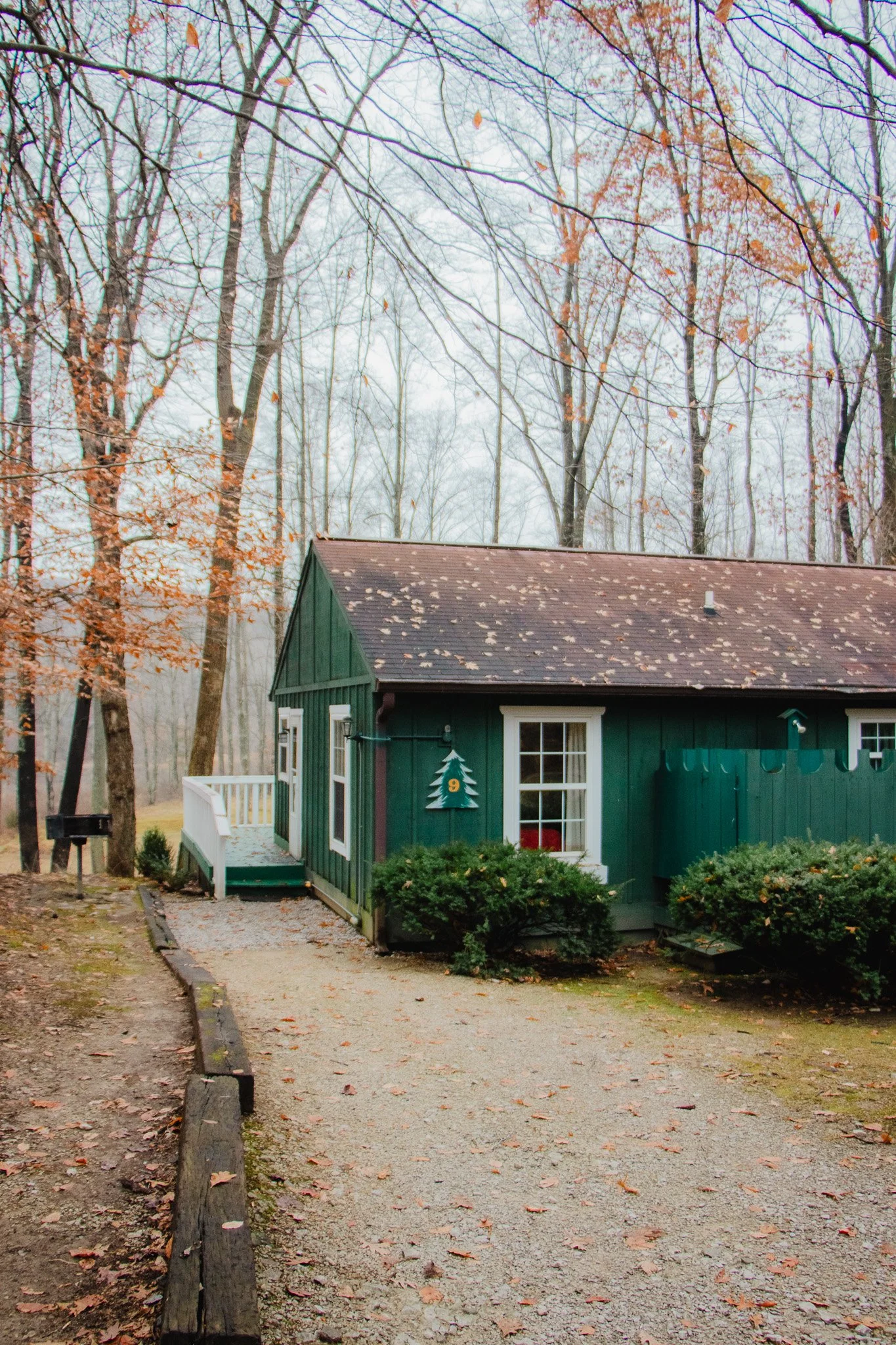 A small green house with a brown roof, surrounded by trees with fall foliage, and gravel pathway leading to the entrance.