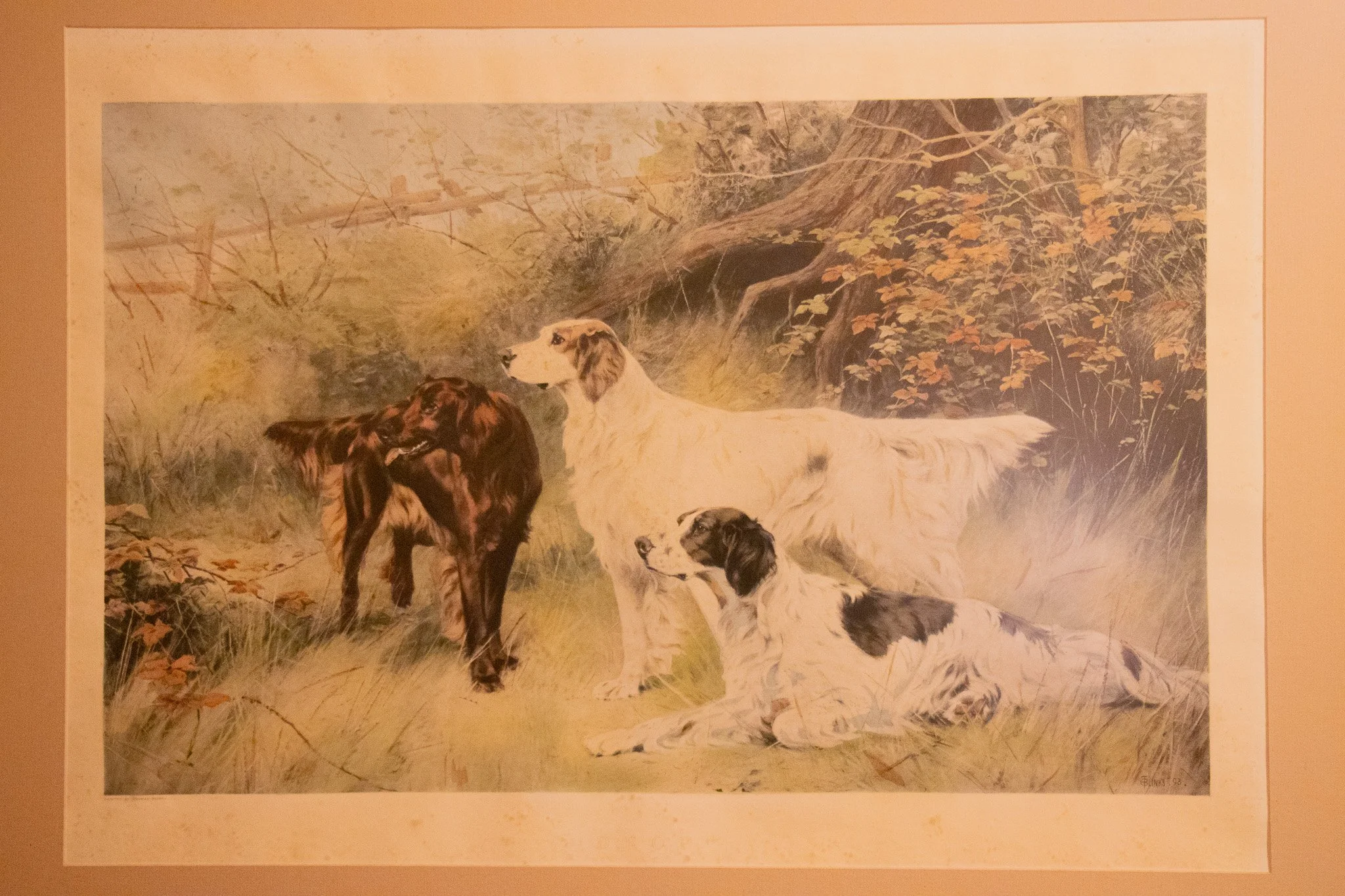 Painting of three dogs in a forest setting with trees and autumn leaves.