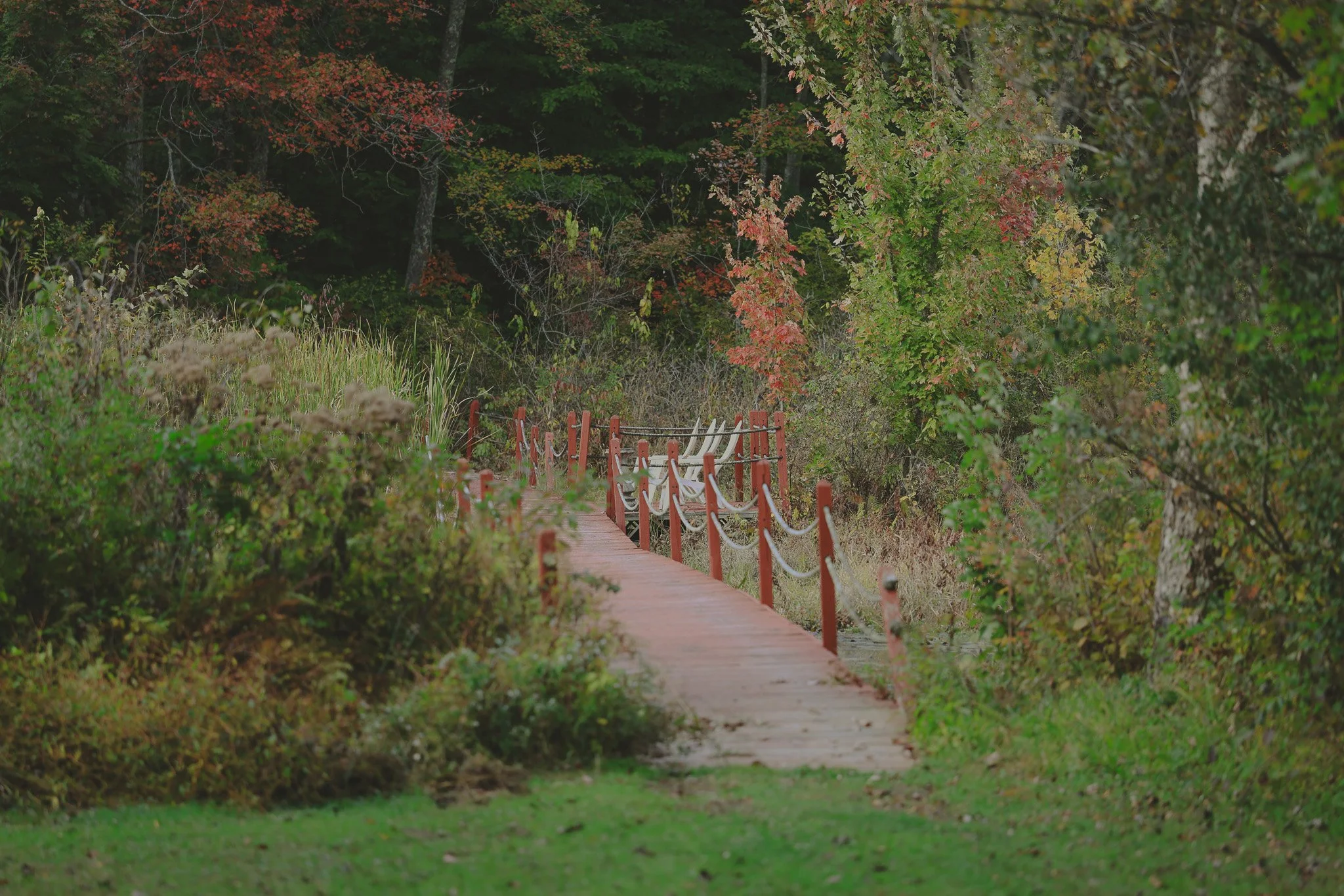 A wooden footbridge with red railings and white ropes along the sides, surrounded by green and autumn-colored trees and bushes, leading into a dense forest.