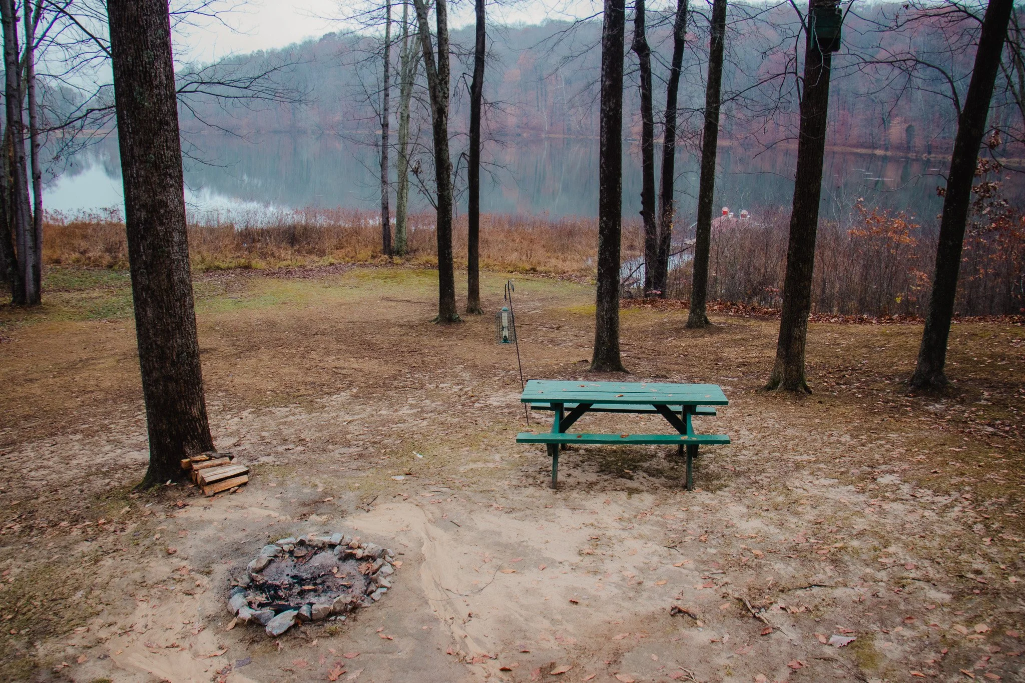A lakeside scene with a picnic table and a campfire ring, surrounded by trees with a foggy lake in the background.
