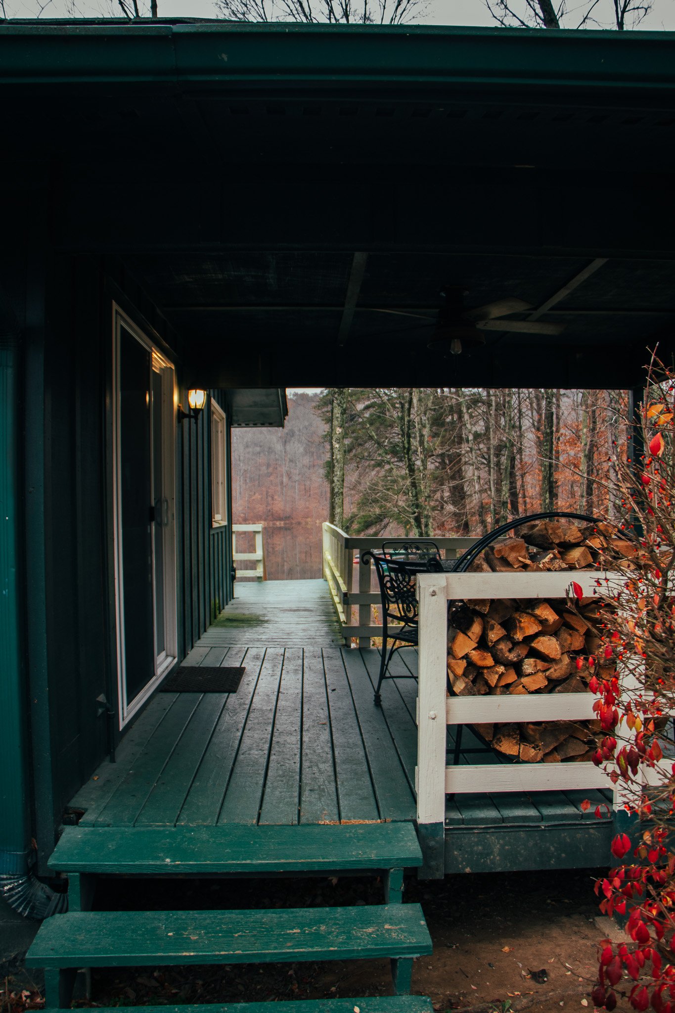 A covered porch with outdoor seating, stacked firewood, a potted plant with red leaves, and a landscape view of trees and a lake in the background.