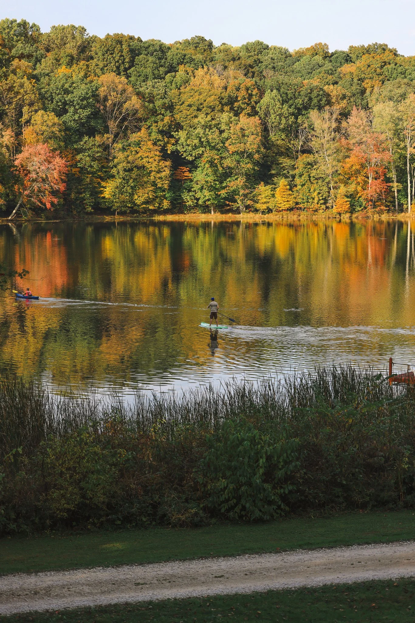 A lake with a forested shoreline showing fall foliage, two people paddleboarding and a person in a kayak on the water, grassy area with plants in the foreground.