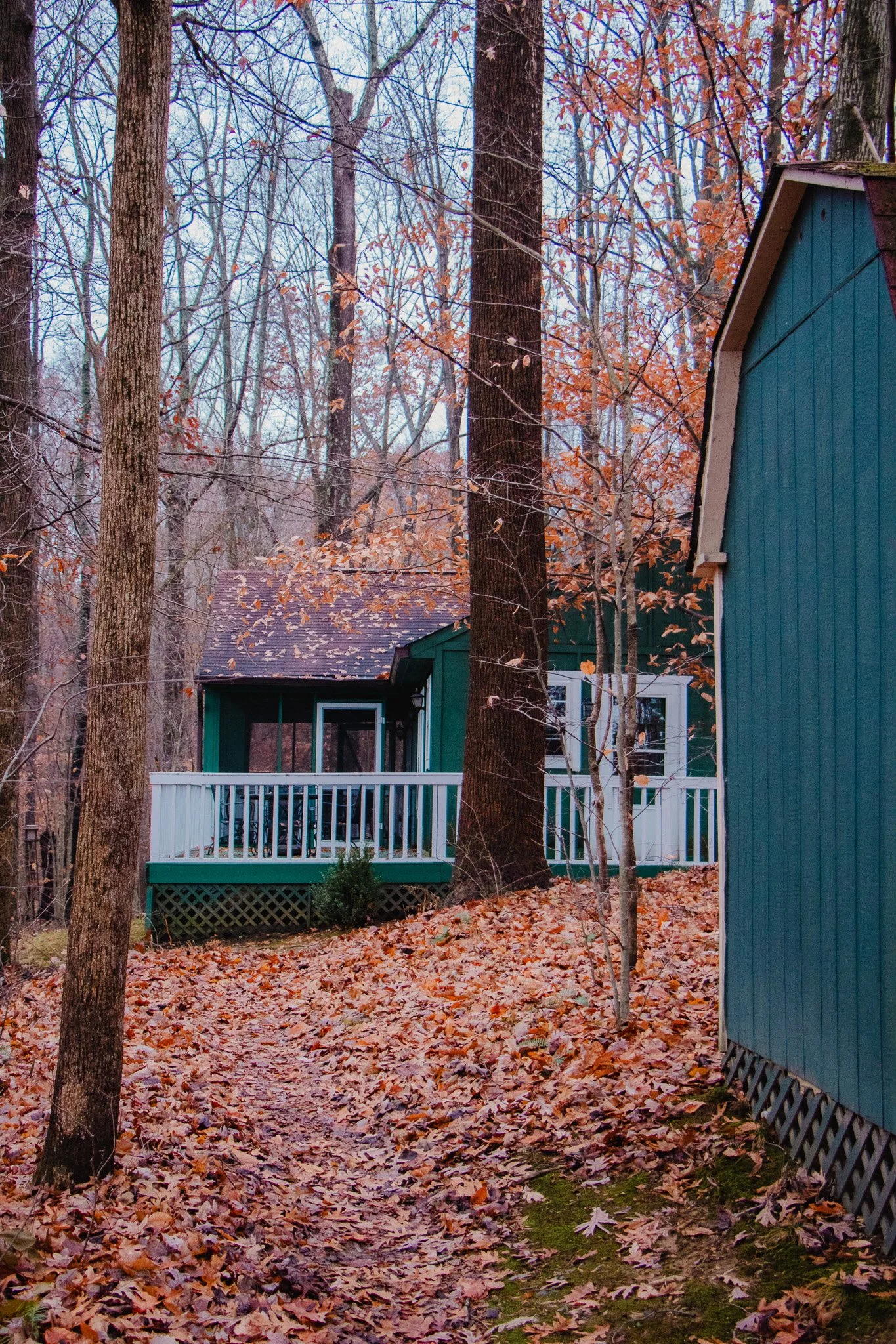 A small blue house with green trim and a white porch railing is situated among tall trees with fall foliage and fallen leaves covering the ground.