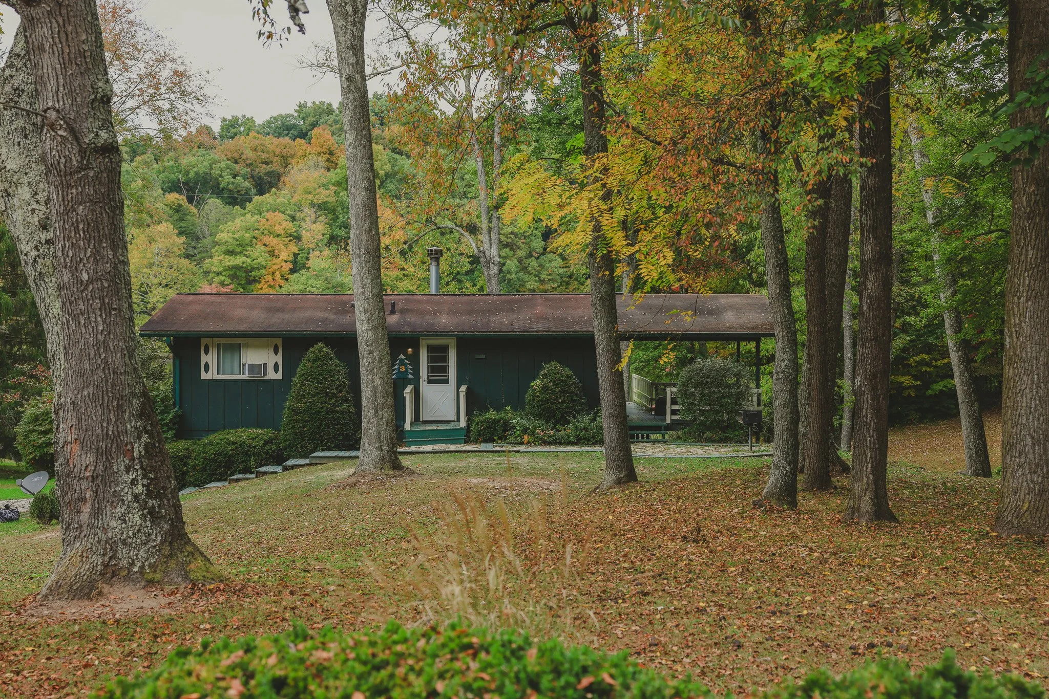 View of a house in a wooded area with trees and fallen leaves on the ground, during autumn.