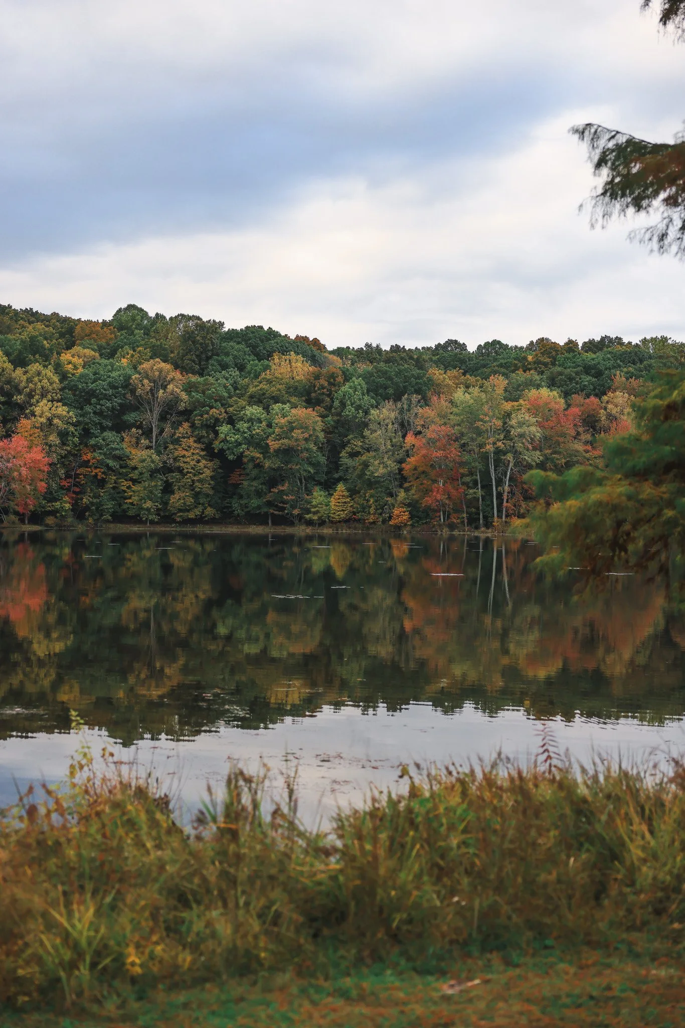 A calm lake surrounded by trees with colorful fall foliage, reflecting the trees in the water, under a cloudy sky.