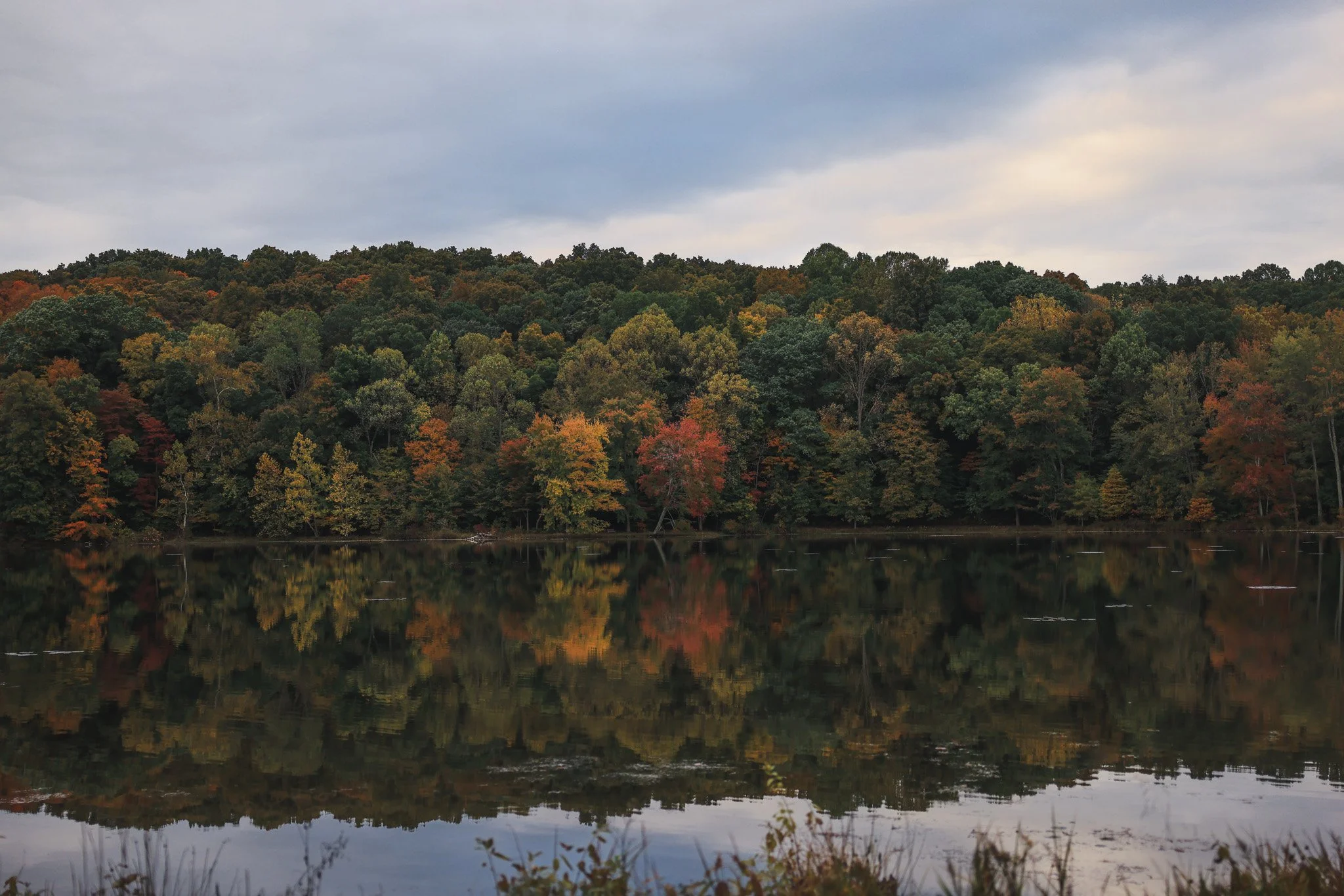A calm lake reflecting the trees of a forest in fall, with leaves in shades of green, yellow, orange, and red, under a cloudy sky.