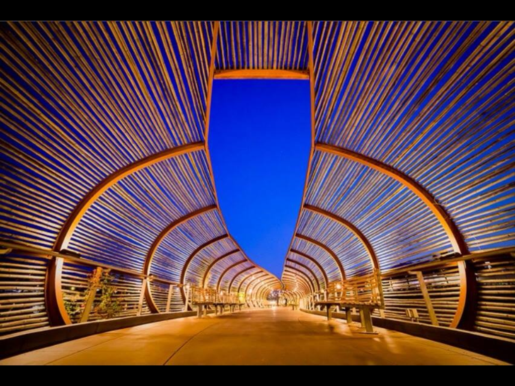 bamboo walkway california.png