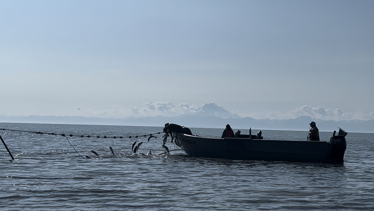 People on a boat fishing in the ocean, with fish caught on a line.