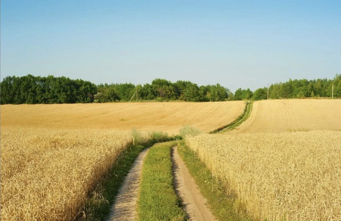 Telling My Story: Wellbeing Support for Refugees and Migrants