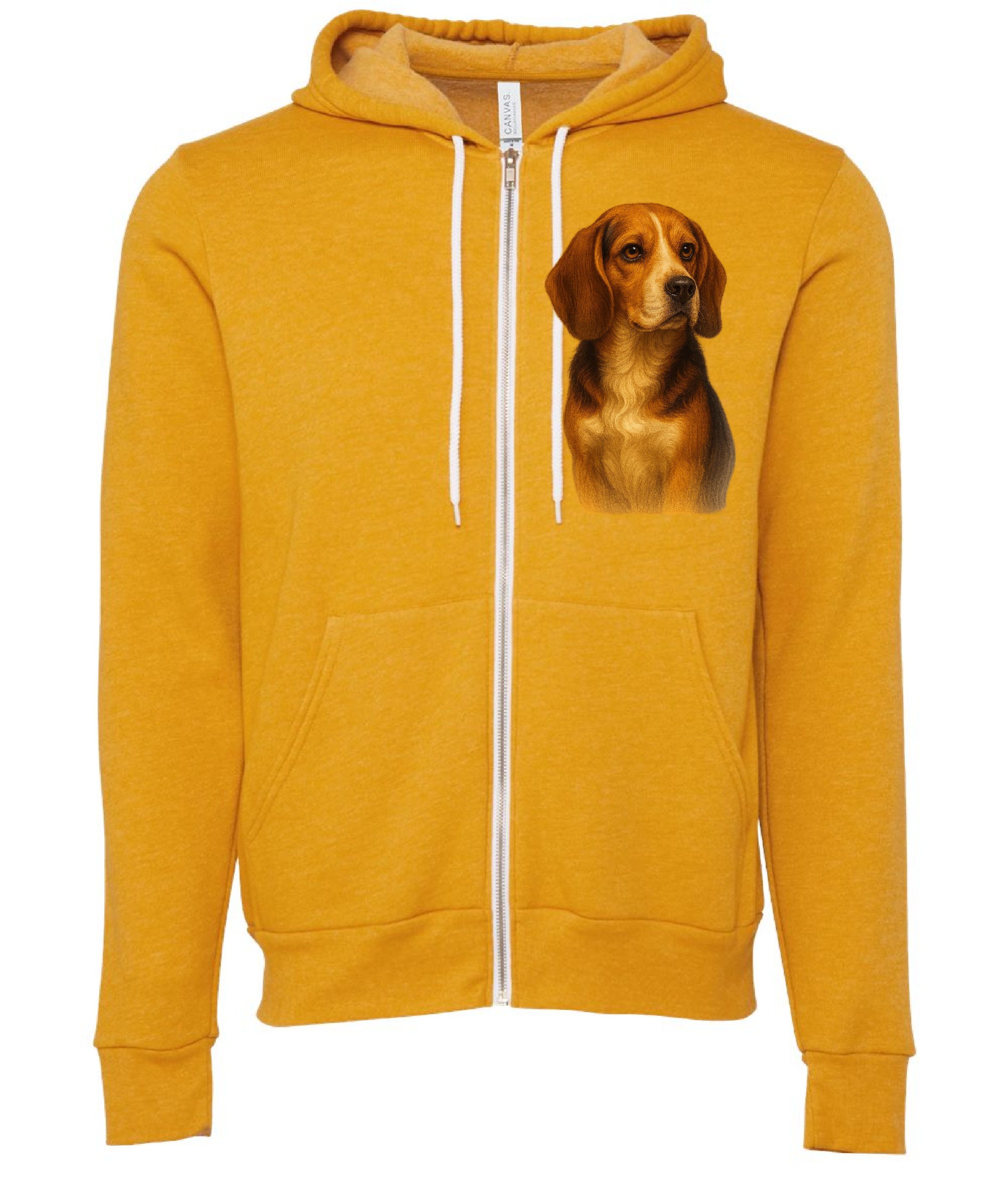 beagle.png