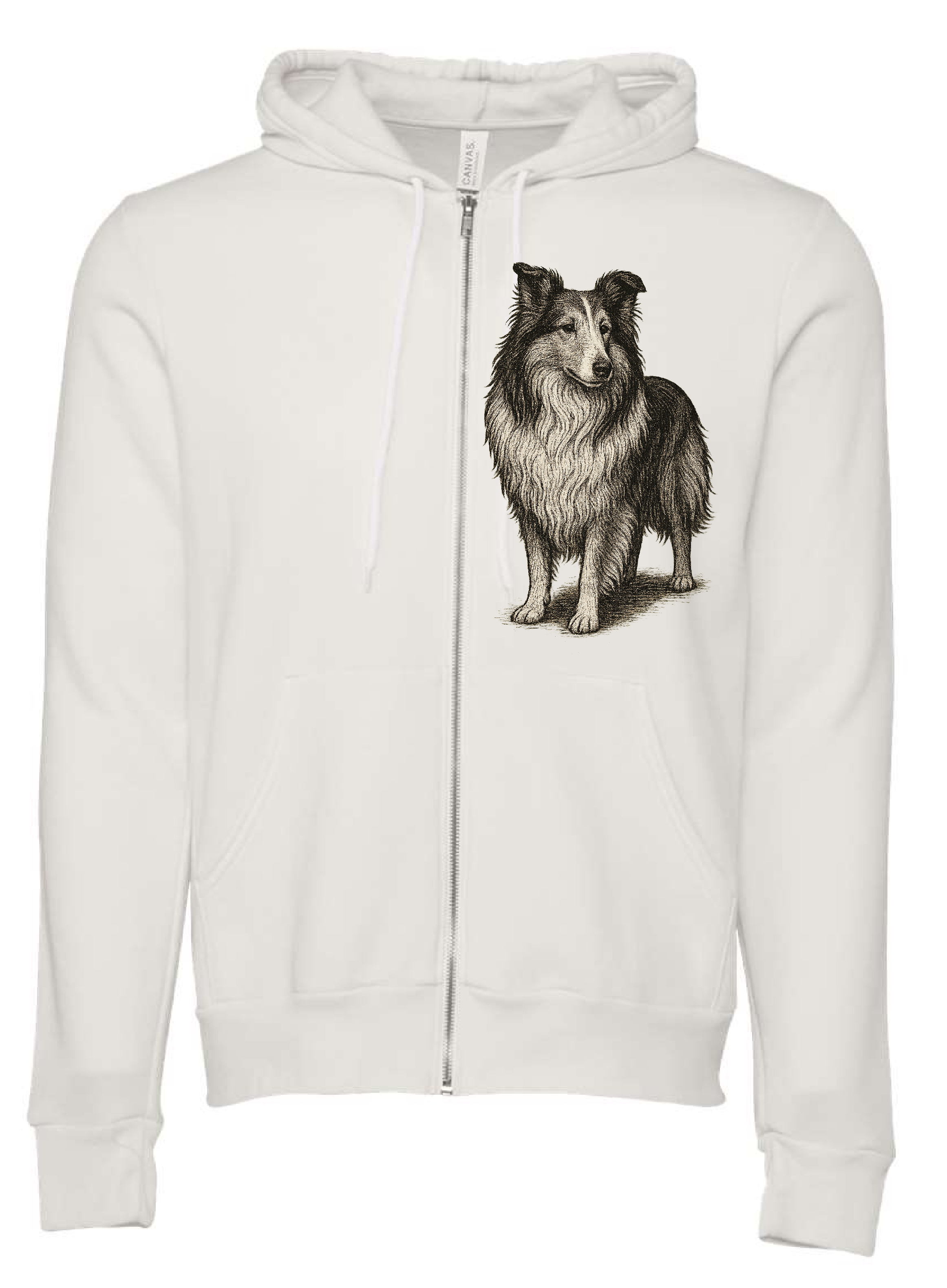 collie.png