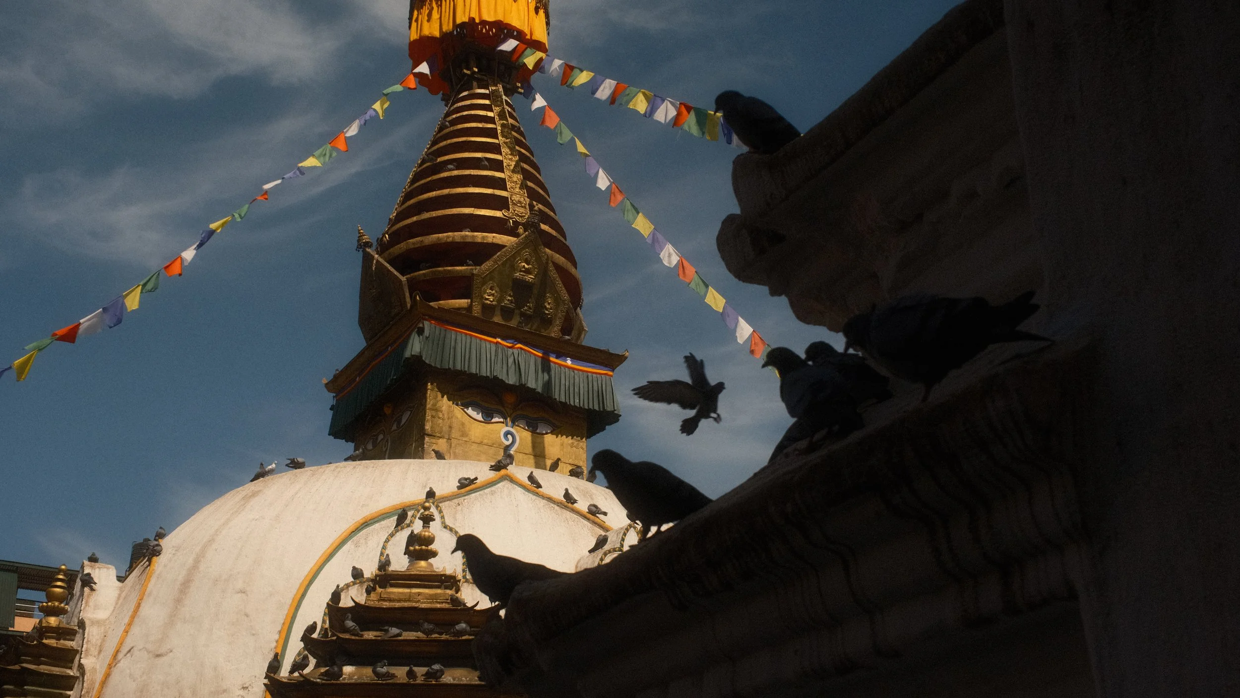 Cerca de un templo con un domo blanco y una torre dorada con banderas de oración de colores, con palomas sobre la estructura y en vuelo, bajo un cielo despejado.