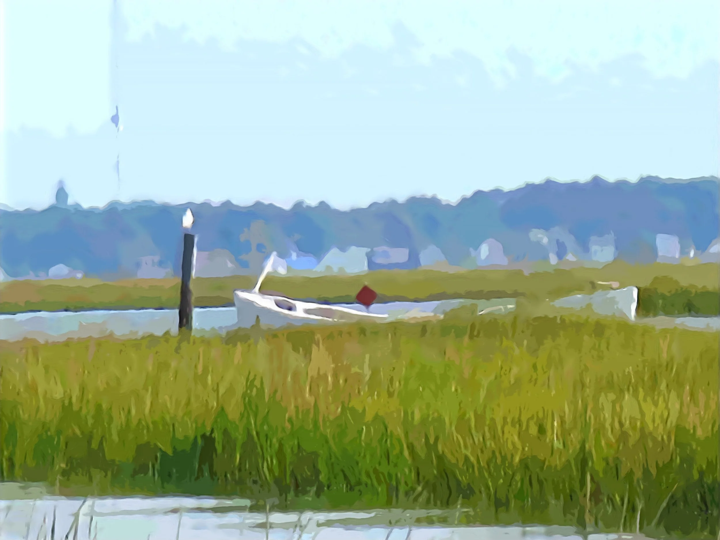Landscape image of a marsh and boat, image on Rosemary and Roasted Garlic cracker box for The Accidental Baker