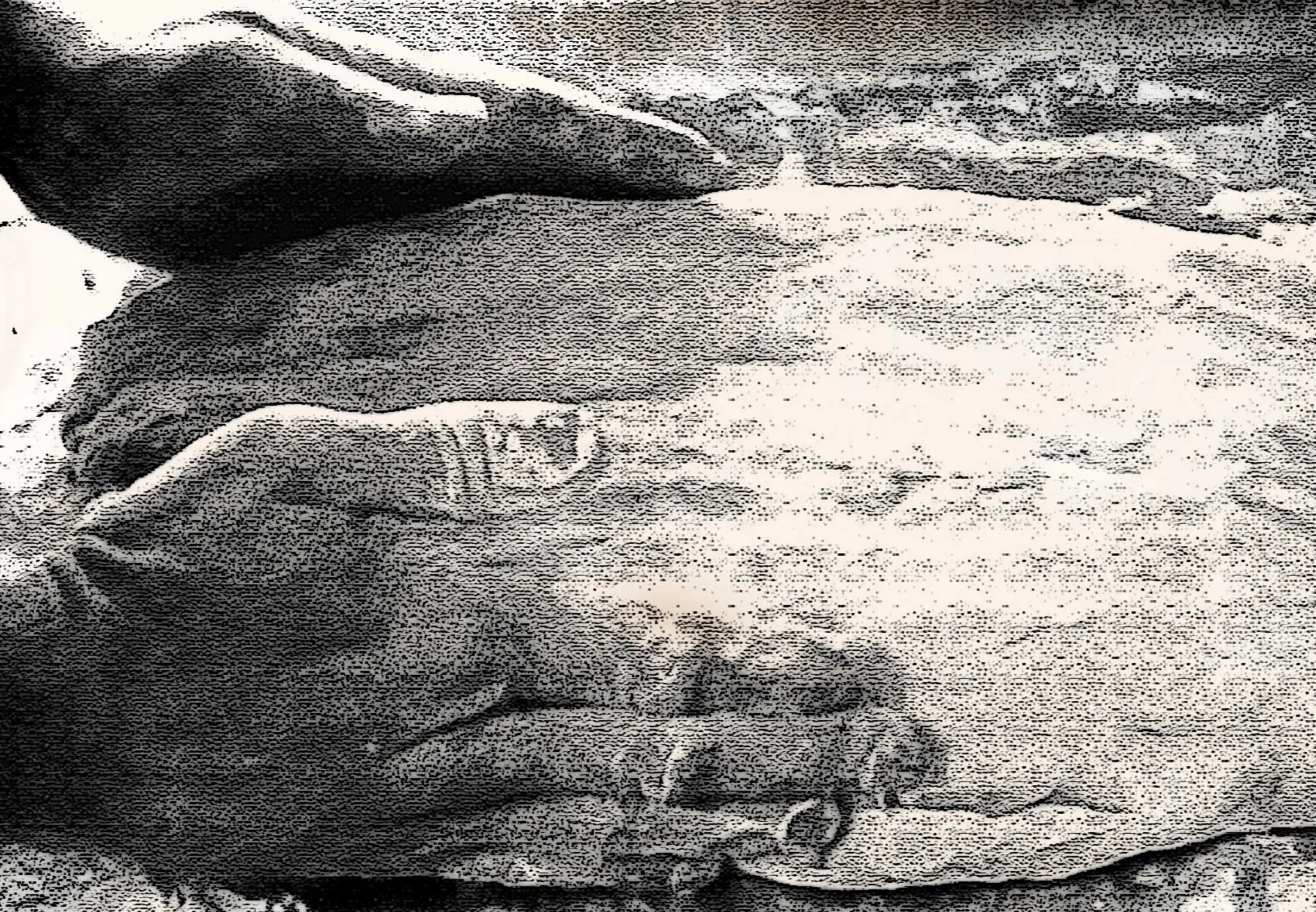 Hands of business owner shaping dough for crackers