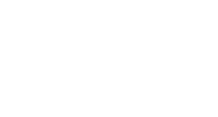 seattle_therapist_private_practice_therapy_online_therapy_washington_talk_therapy_adults_couples_therapy_high_functioning_adults_grief_support_life_transitions_counseling_evidence_based_therapy_trauma_informed