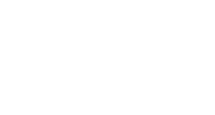 seattle_therapist_private_practice_therapy_online_therapy_washington_talk_therapy_adults_couples_therapy_high_functioning_adults_grief_support_life_transitions_counseling_evidence_based_therapy_trauma_informed