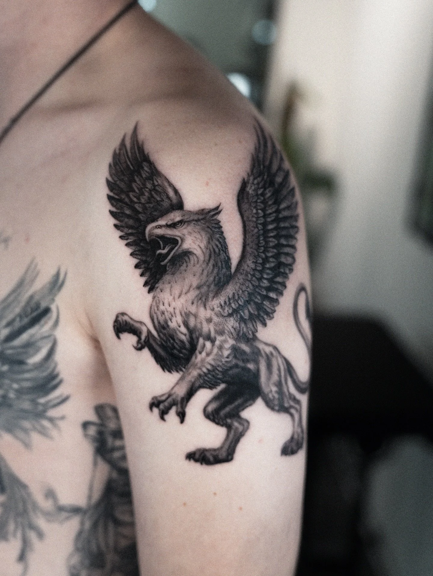Greif f&uuml;r @mexican_vr6 im realistischen Stil.
Danke dir 🔥!

#tattoo #stgallen #stgallentattoo #greif #switzerland