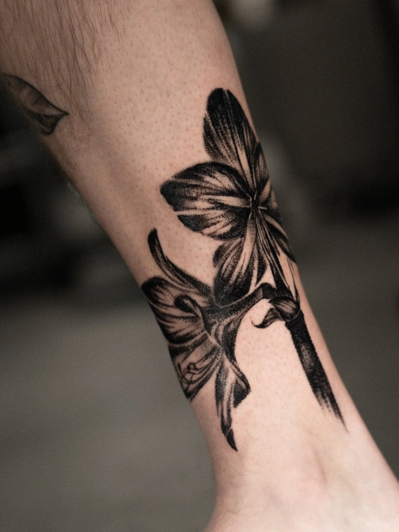 Bl&uuml;ten f&uuml;r @lola_4rkral 

Die Bl&uuml;ten habe ich im Stippling-Style umgesetzt. Danke Lola f&uuml;r dein &laquo;immer wieder kommen&raquo;! Es ist jedesmal eine Freude! 

#floraltattoo #tattoo #sgtattoo #stippling #stgallen