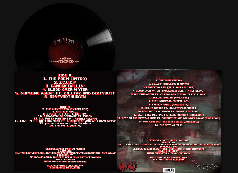 vinyl ex 2.PNG