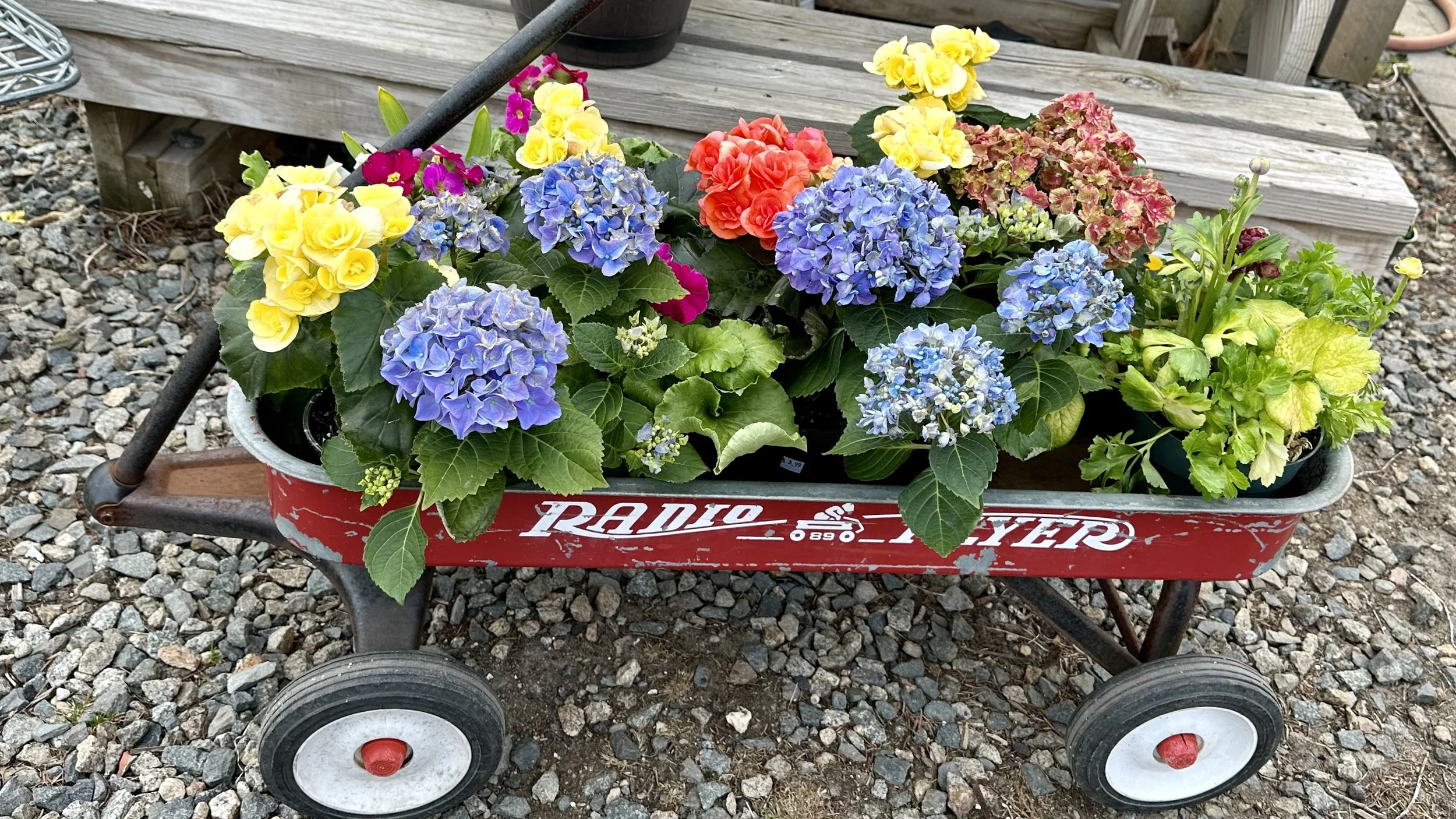 Wagon of Flowers