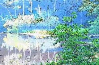 Ipswich River 