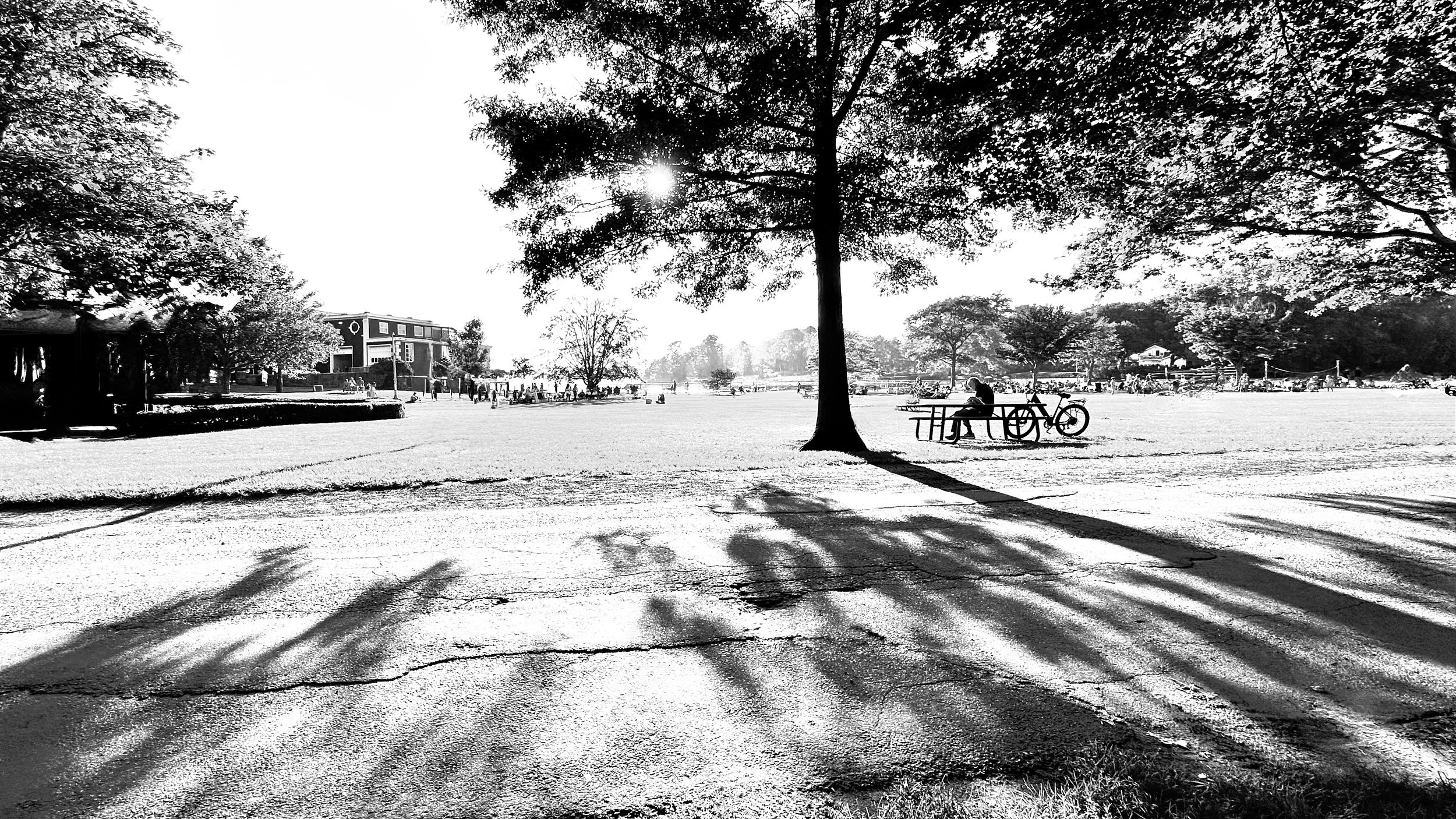 Shadows Lynch Park ,Beverly 
