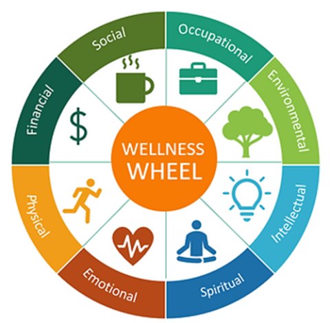 A colorful circular diagram titled 'Wellness Wheel' divided into eight segments: Social, Occupational, Environmental, Intellectual, Spiritual, Emotional, Physical, Financial, each with icons representing their themes.