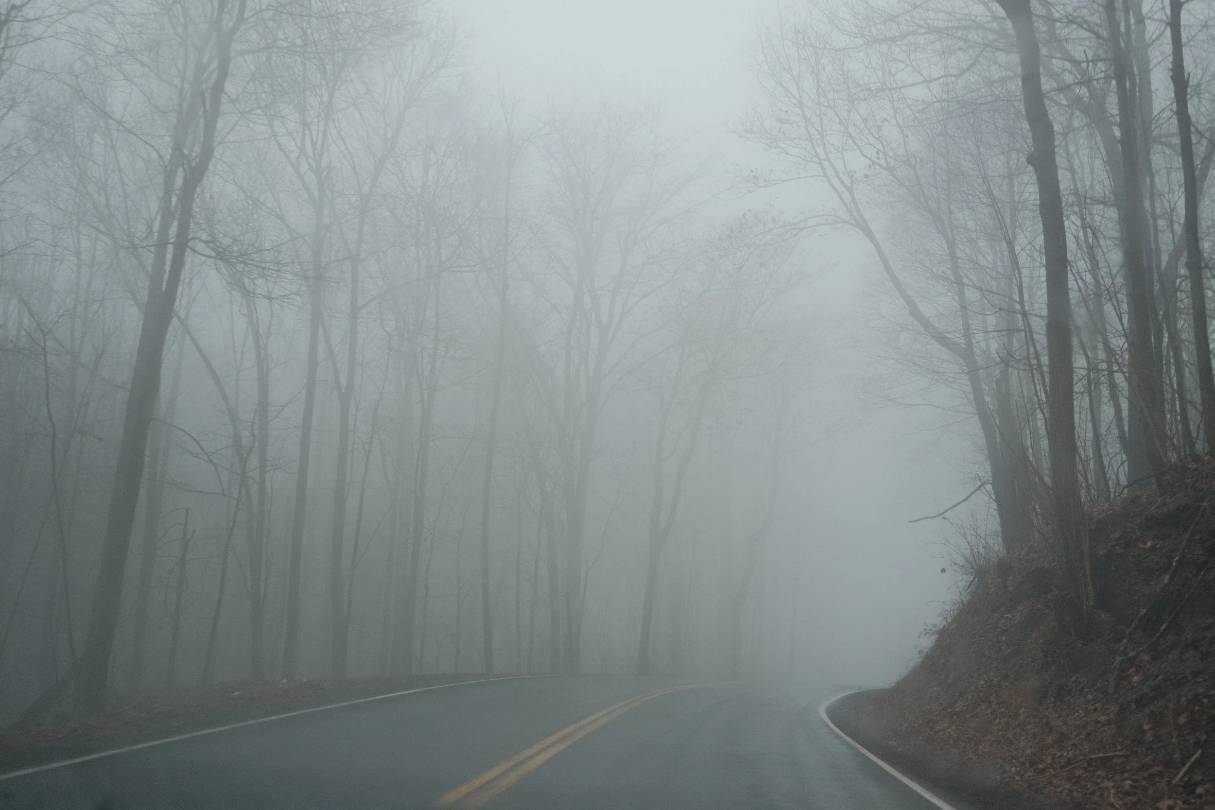A foggy mountain road lined with leafless trees on both sides, with a double yellow line in the center and a white edge line on the right.