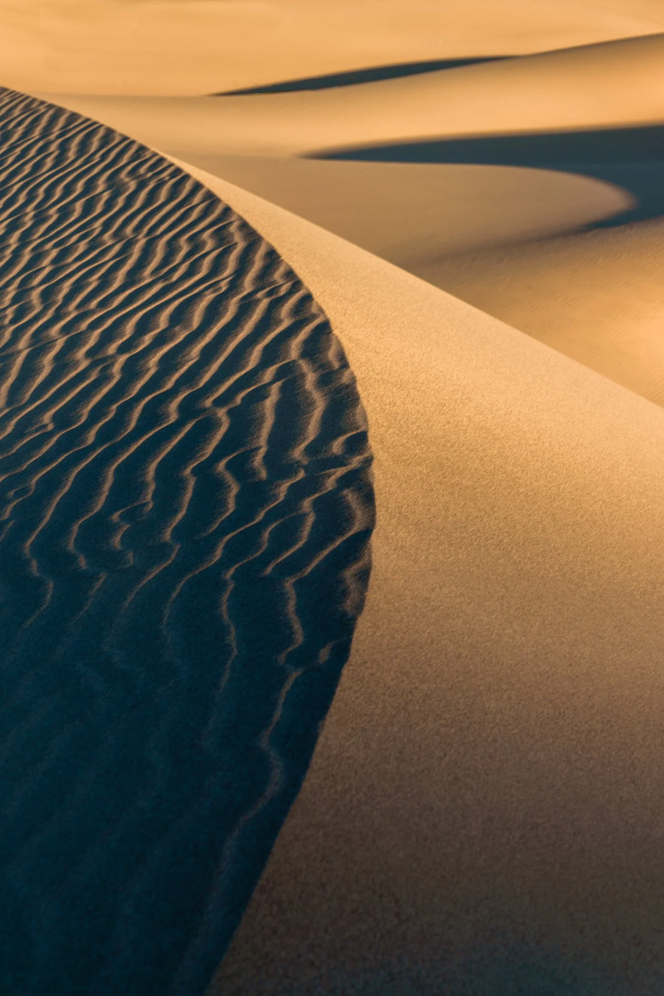 Sand Dunes-2.jpg