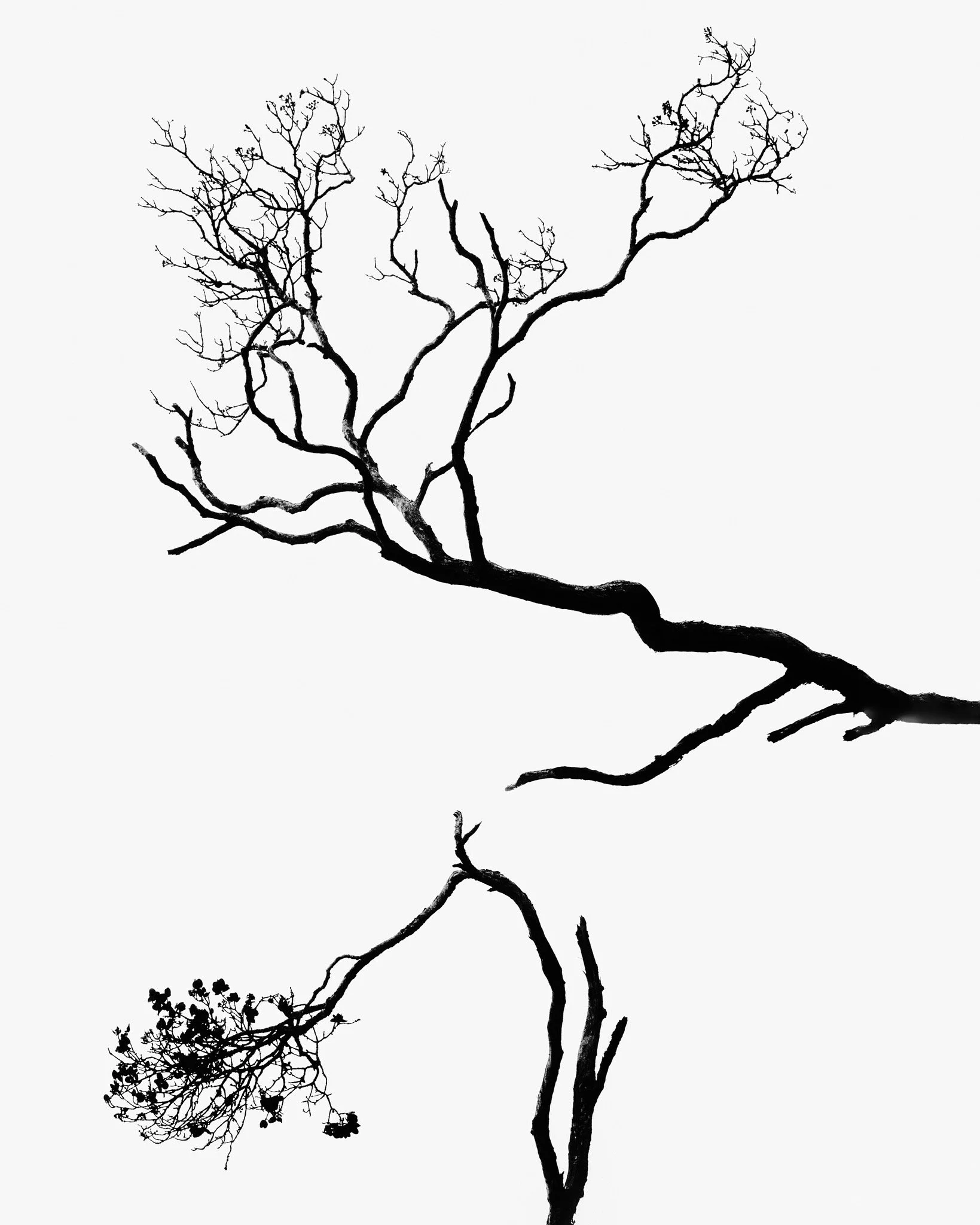 REACH OUT  - Reaching out is a gesture that’s a 2 way street. You can reach out to help someone in need. Inversely, when in trouble, one can also reach out for help. For me this image depicts both actions. 