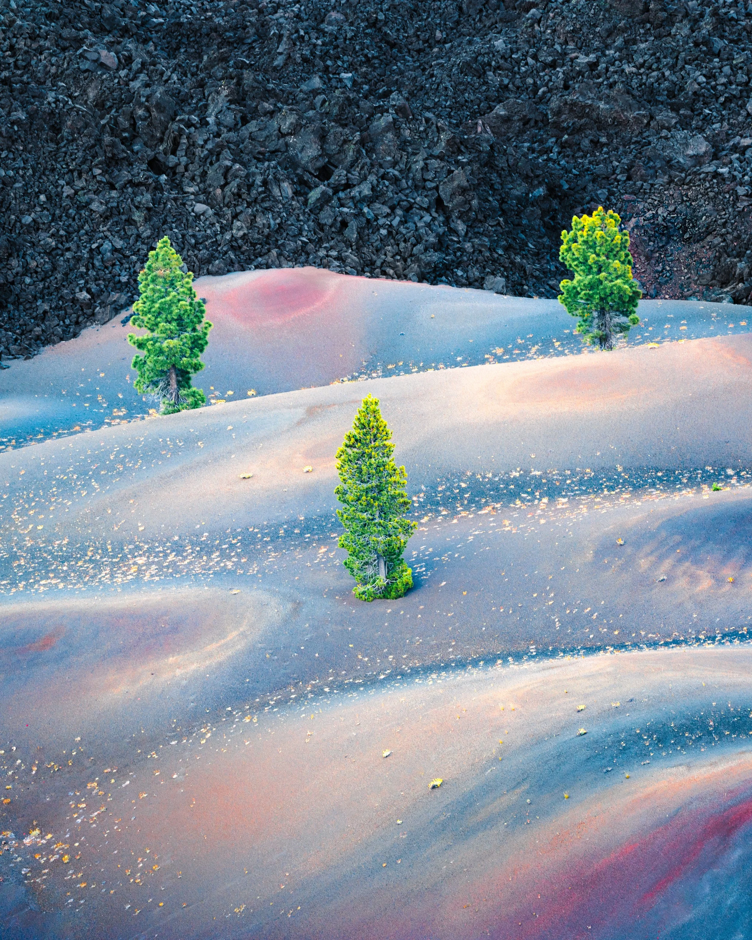 THE TRINITY - The Trinity are the three travelers.
Where they go and what they find is left to the imagination.

The number 3 is symbolic of creativity and curiosity.
At the point where curiosity meets the imagination, there you will find the "Land o