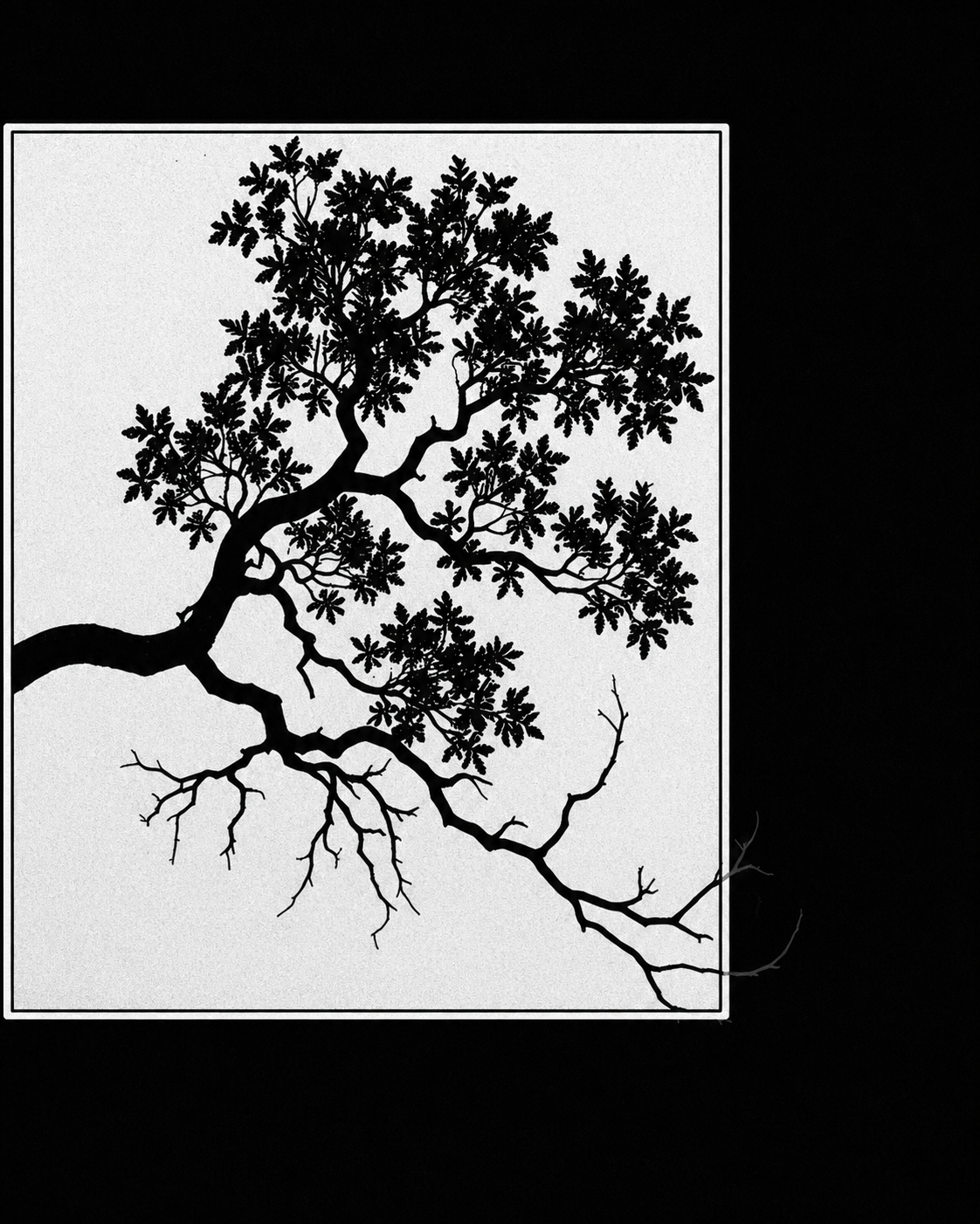 Ask Me Anything -I am an open book.    

From the series Windows. 
"We do not show people ourselves. We show them windows."