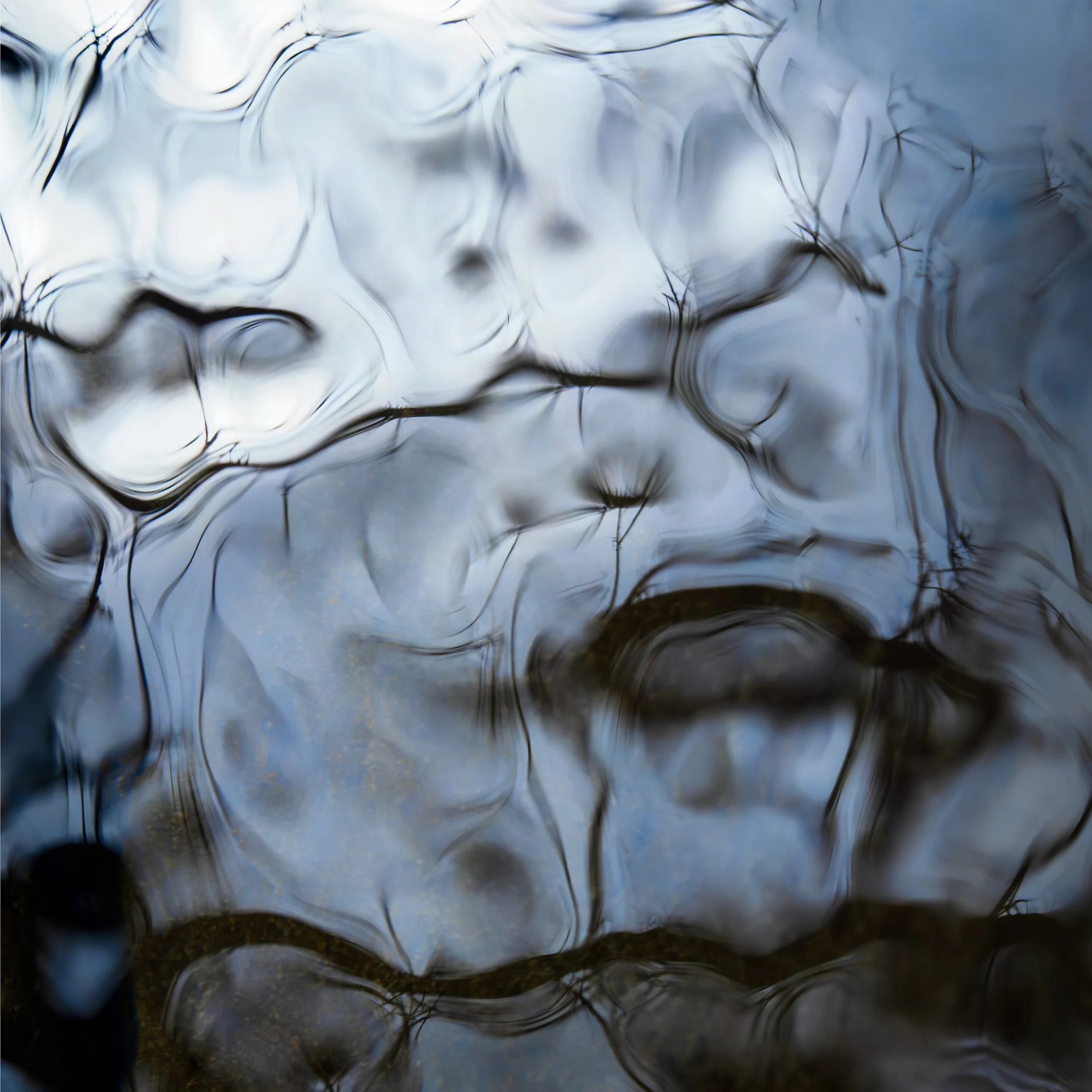 Evolution of Self - SOLD OUT