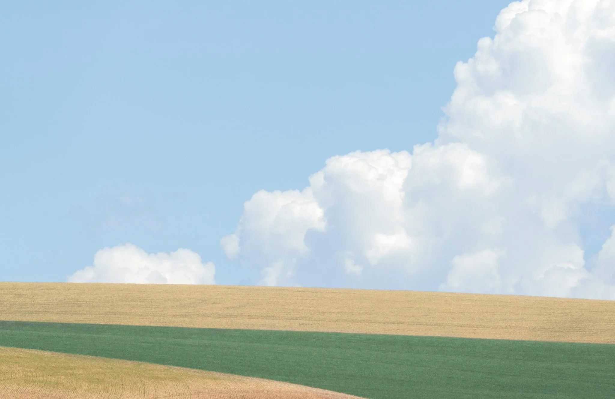 Trees and leaves-2.jpg