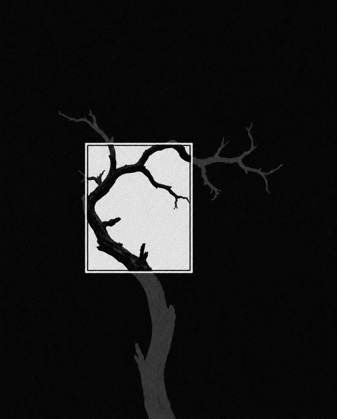 Windows - SOLD OUT