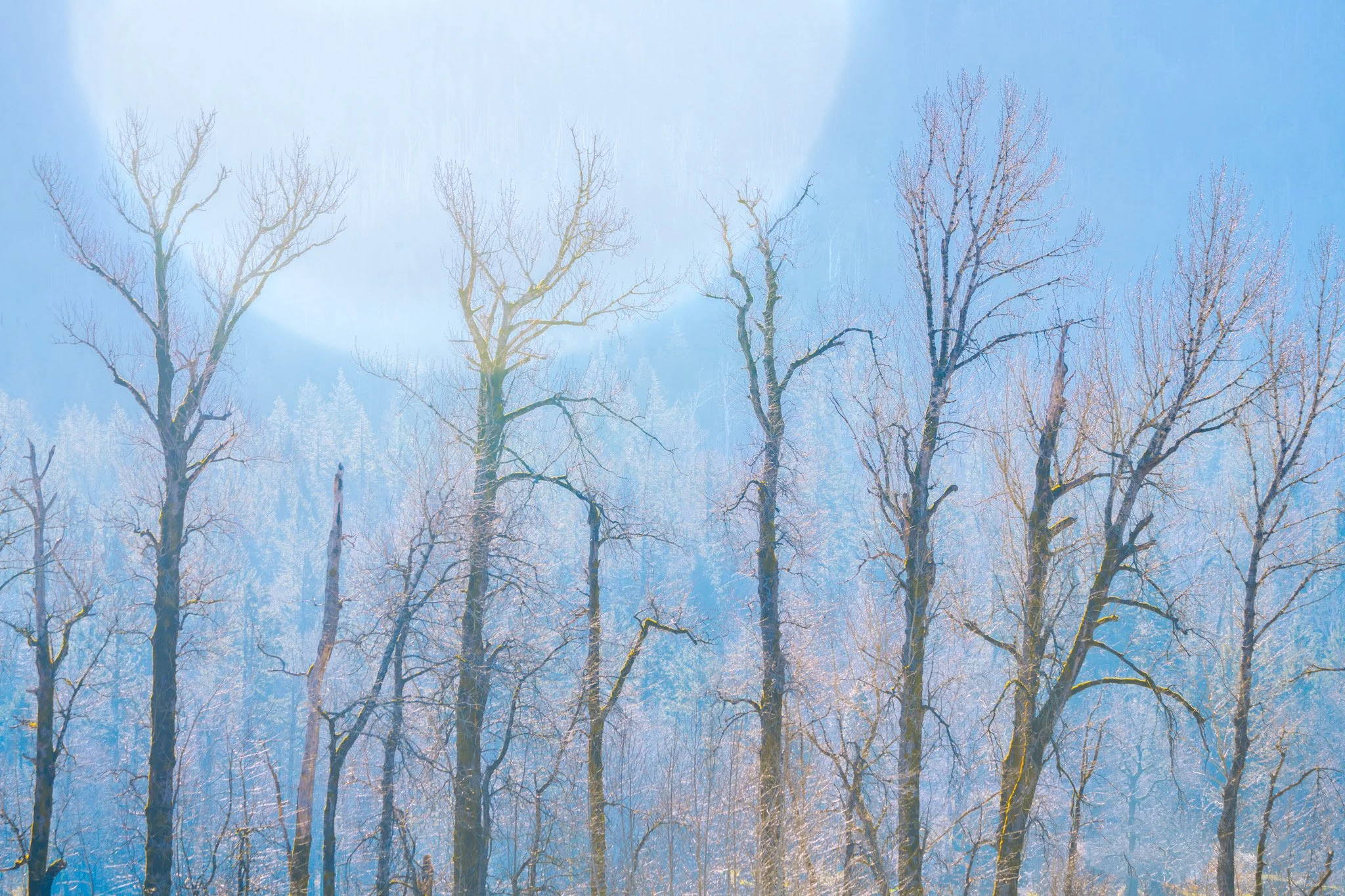 Gathering - Paths converge. Many reaching, one shared purpose.