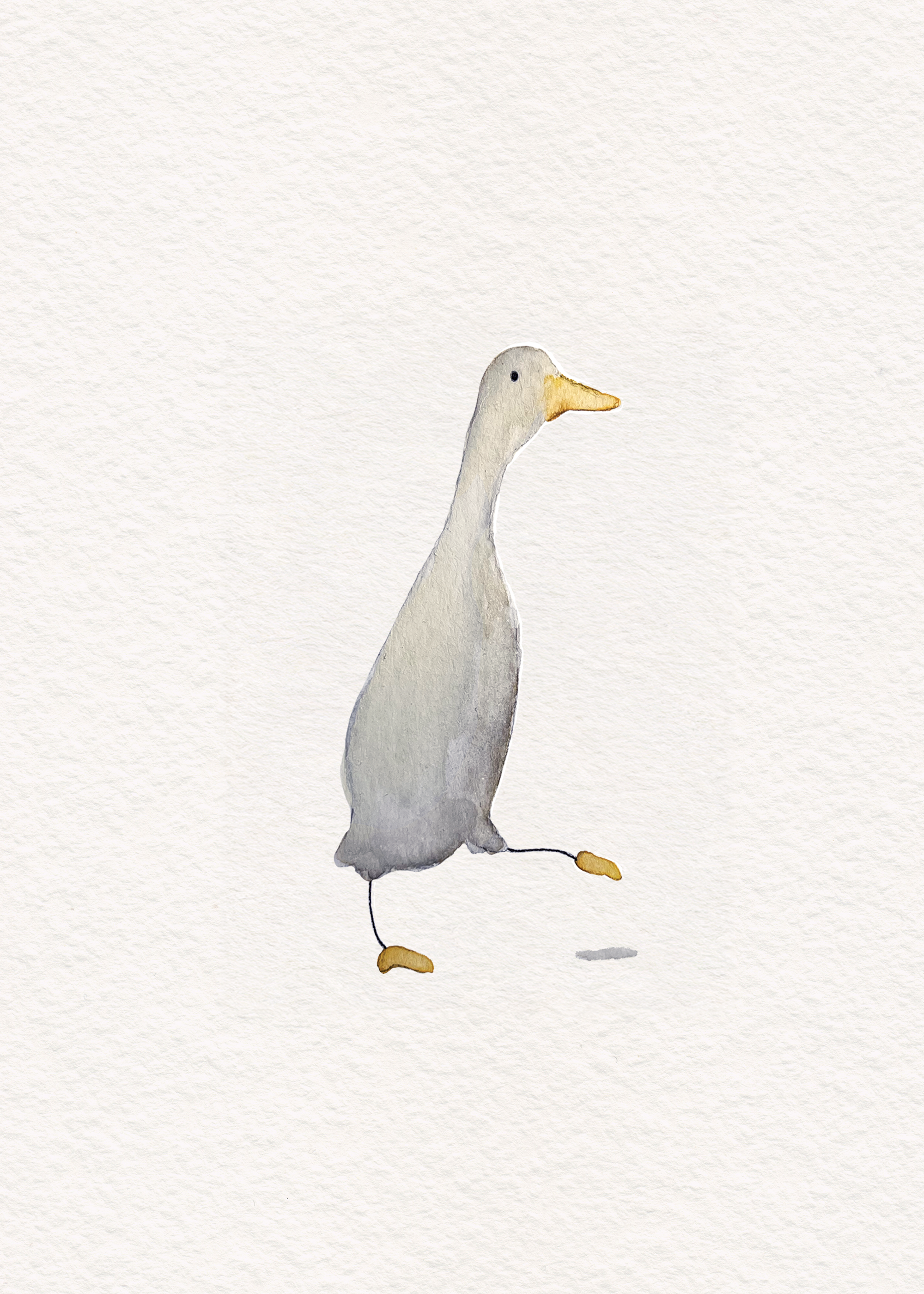 Goose